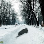 Parcul Cancicov (4) Parcul Cancicov (4)