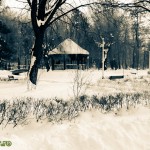 Parcul Cancicov (6) Parcul Cancicov (6)
