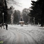 Parcul Cancicov (9) Parcul Cancicov (9)