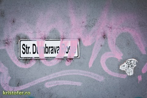 dumbrava roz bacau