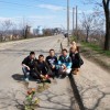 Tineri pentru Bacau - flori in asfalt Bacau (1)