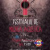 festivalul-de-muzica-acustica-2013-bacau