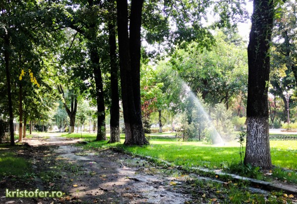 3 de bine - ploua pe aleile de parcul cancicov