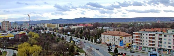 bacauani in capitala