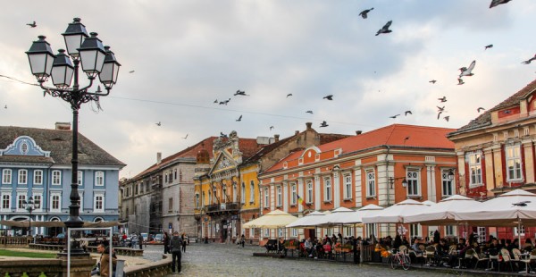 orasul timisoara toamna 2013-13