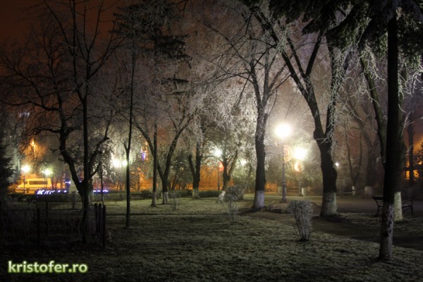 iarna parcul cancicov 2013-1