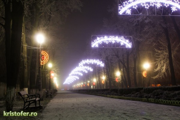 iarna parcul cancicov 2013-3