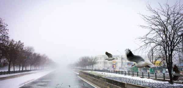zapada in bucuresti 2014 (4)