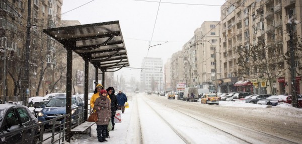 zapada in bucuresti 2014 (5)