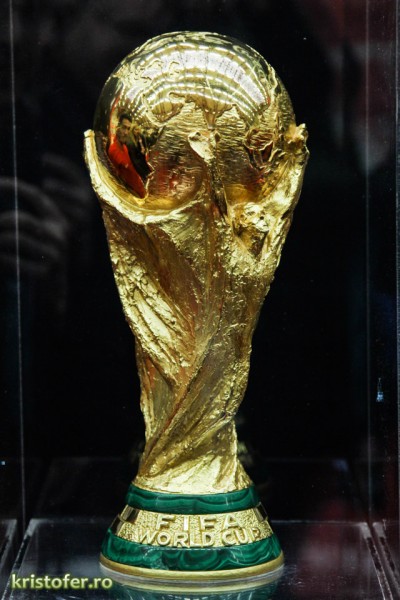 Cupa Mondiala Fifa 2014 la Bucuresti (7)