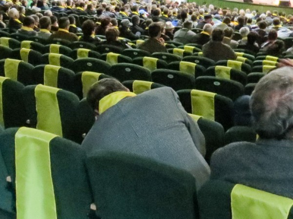 somnoroase pasarele la pnl (3)