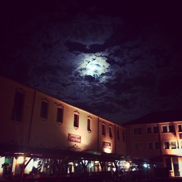 9 curtea veche bacau