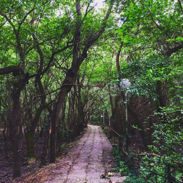 3. albena park instagram