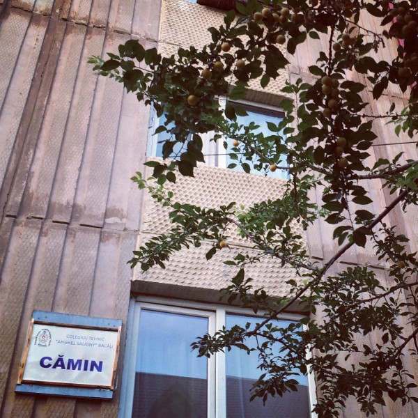 4 camin anghel saligny