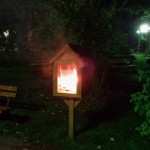 biblioteca strada incendiata bacau vandalizata 2