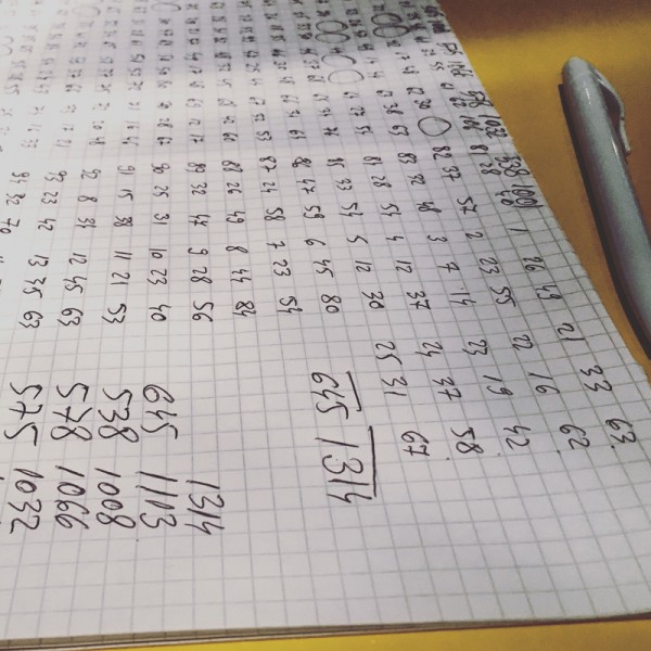 10 numarare voturi cristian ghinghes bacau 2016