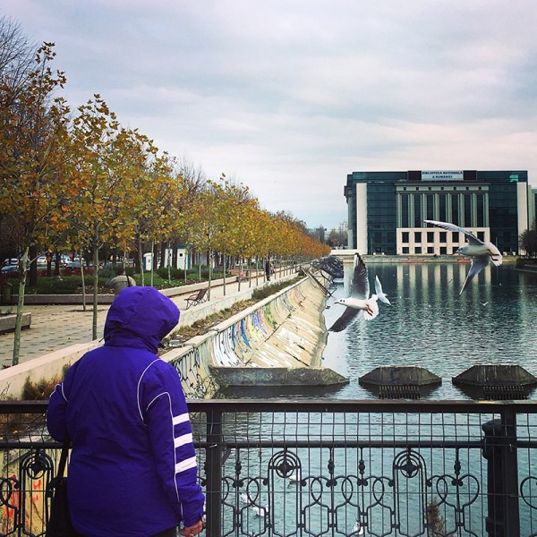 10-piata-unirii-bucuresti-pescarusi-biblioteca-nationala