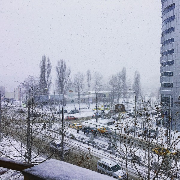 10-iarna-bucuresti-octavian-goga
