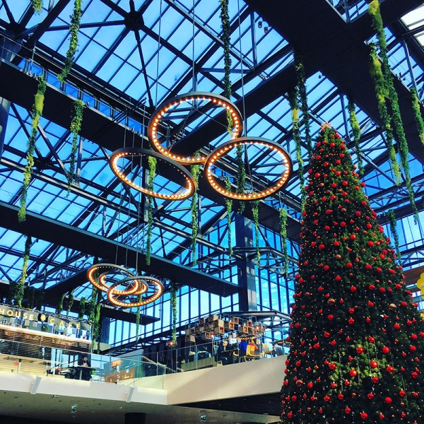 8-brad-craciun-parklake-bucuresti