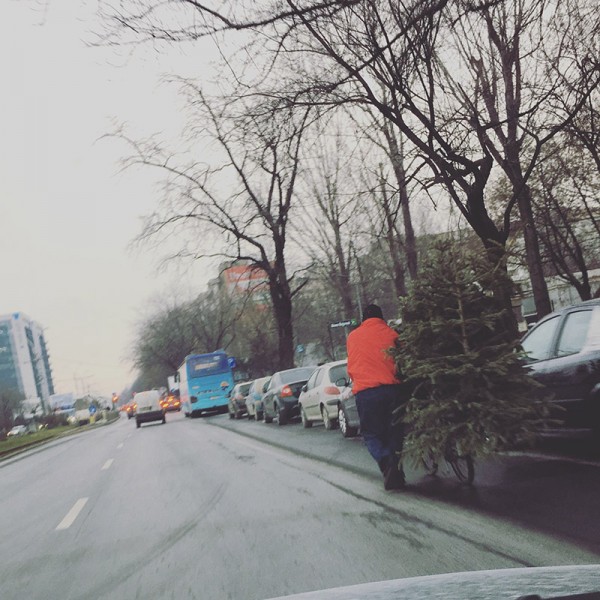 9-brad-bicicleta-bucuresti