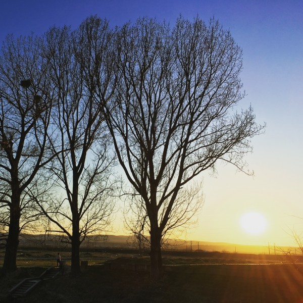 02 apus parc selgros bacau