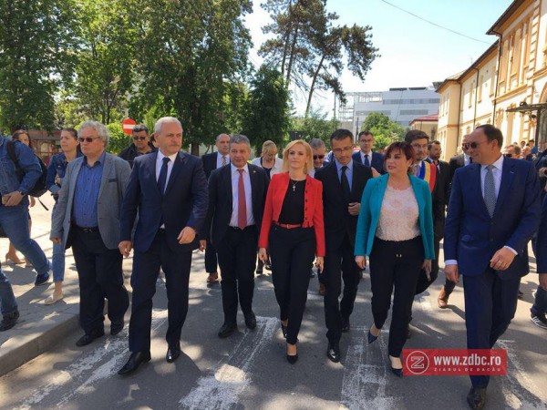 dragnea firea benea bacau zdbc