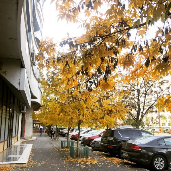 10 peisaj urban toamna bucuresti