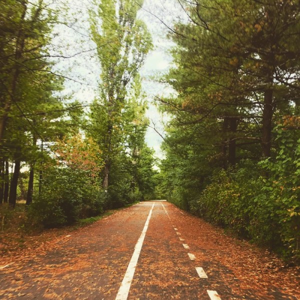 3 parcul gheraiesti toamna bacau