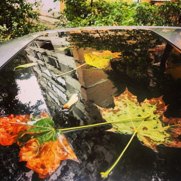 5 toamna oglinda masina