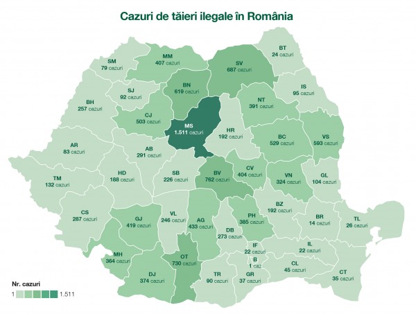 Raportul tăierilor ilegale din pădurile României în 2017