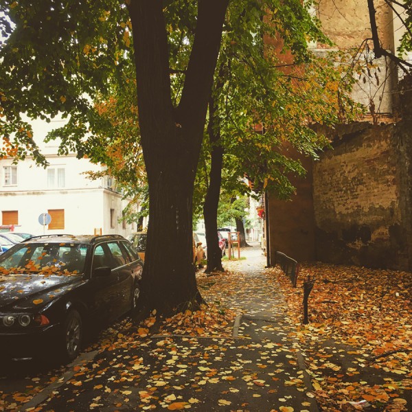 02 toamna bucuresti dacia