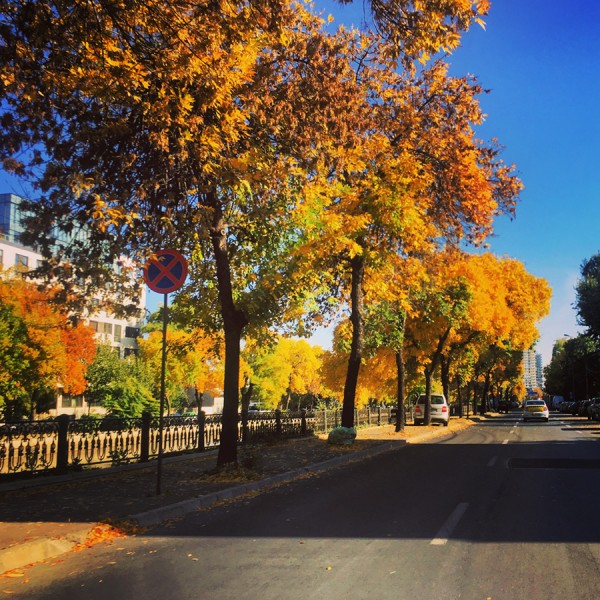 03 toamna bucuresti splaiul unirii