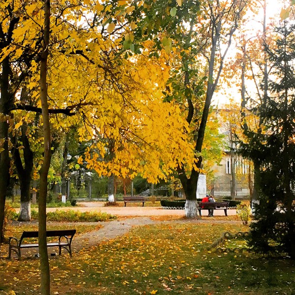 04 toamna parcul cancicov bacau