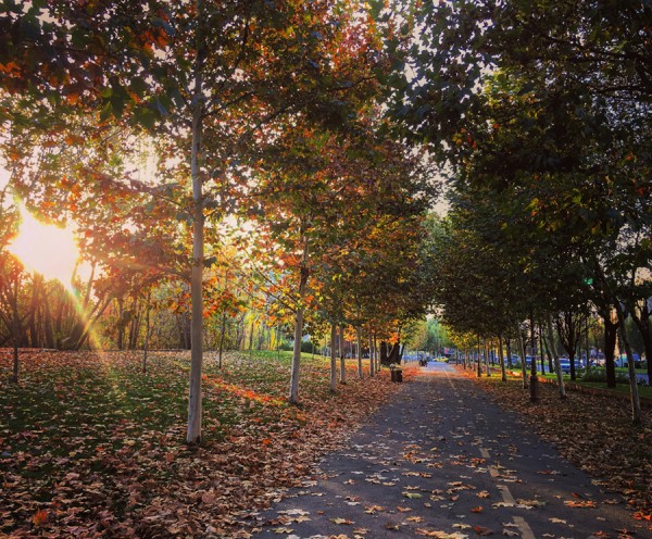 08 toamna apus bucuresti bulevardul unirii