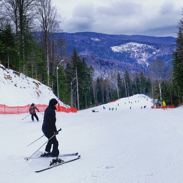 03 partia nemira 2019