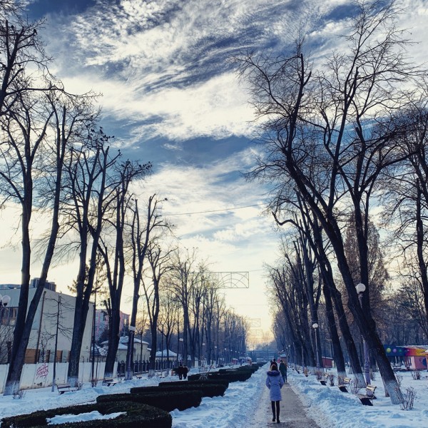 04 iarna parcul cancicov