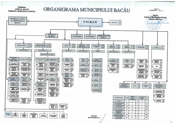 proiect organigrama primaria bacau cosmin necula
