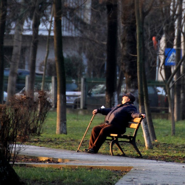 banca parcul cancicov