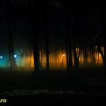 parcul cancicov ceata iarna-4