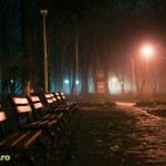 parcul cancicov ceata iarna-8